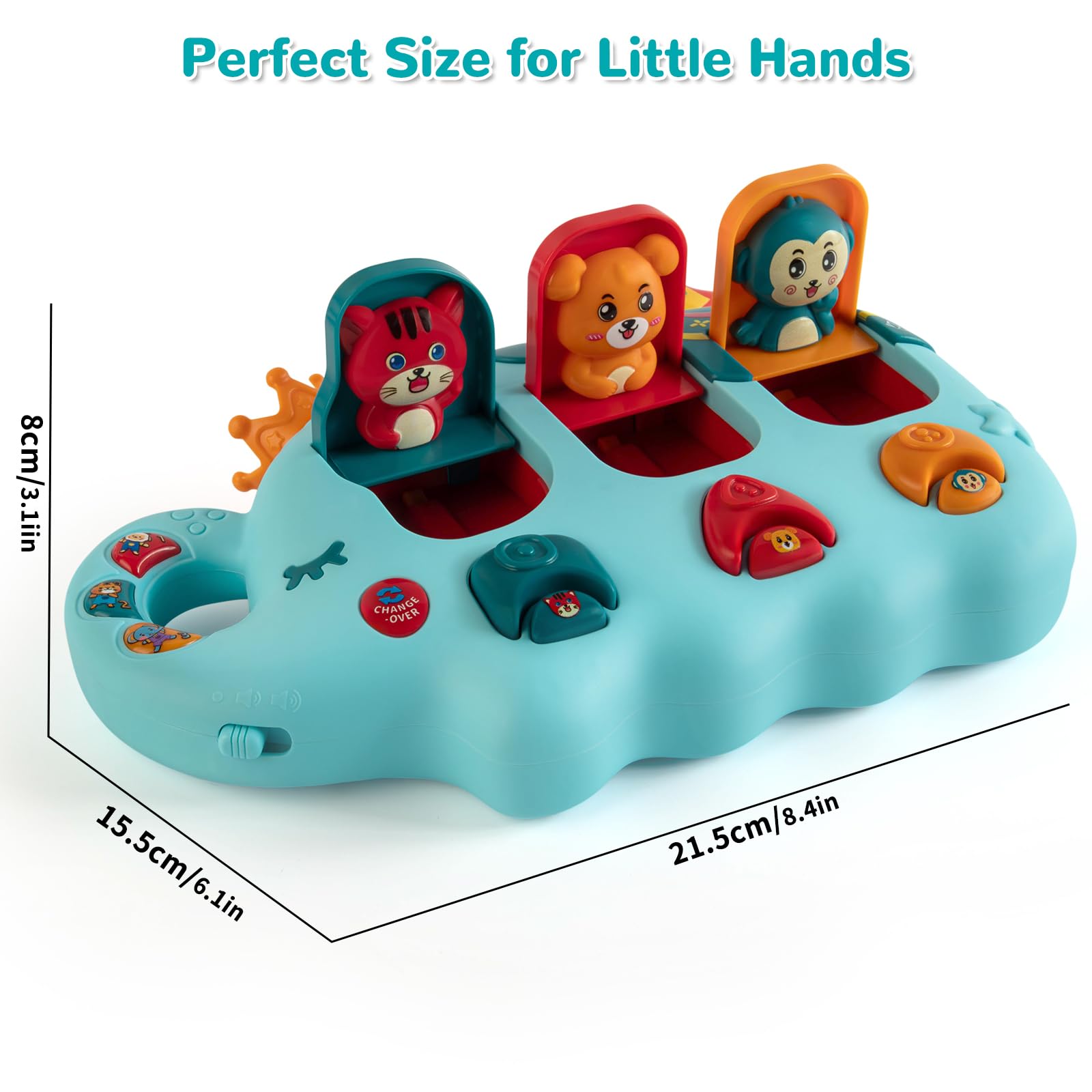 Musical Toy – Montessori Educational Gift for Toddlers 6-18 Months-Windsor Avenue Toys