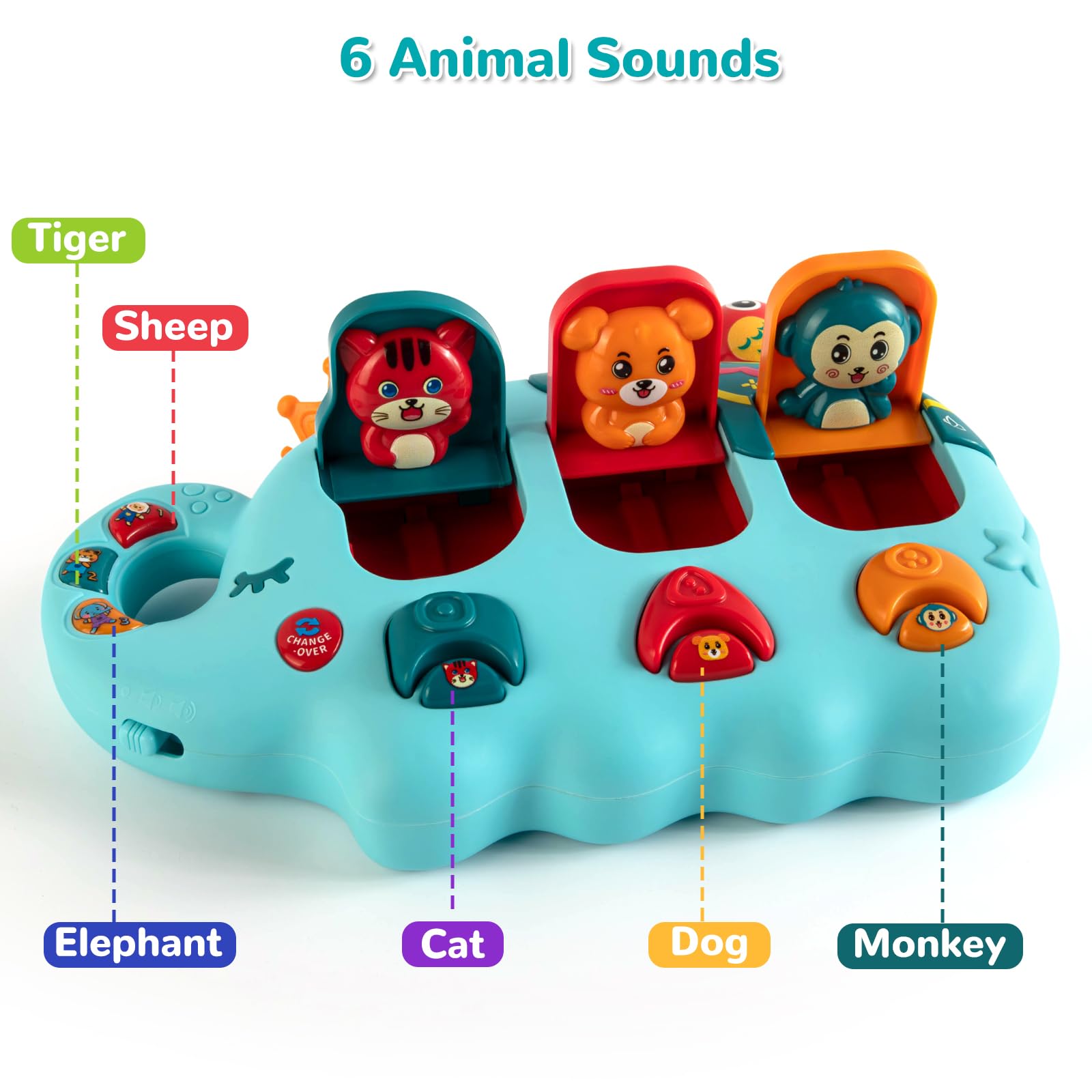 Musical Toy – Montessori Educational Gift for Toddlers 6-18 Months-Windsor Avenue Toys