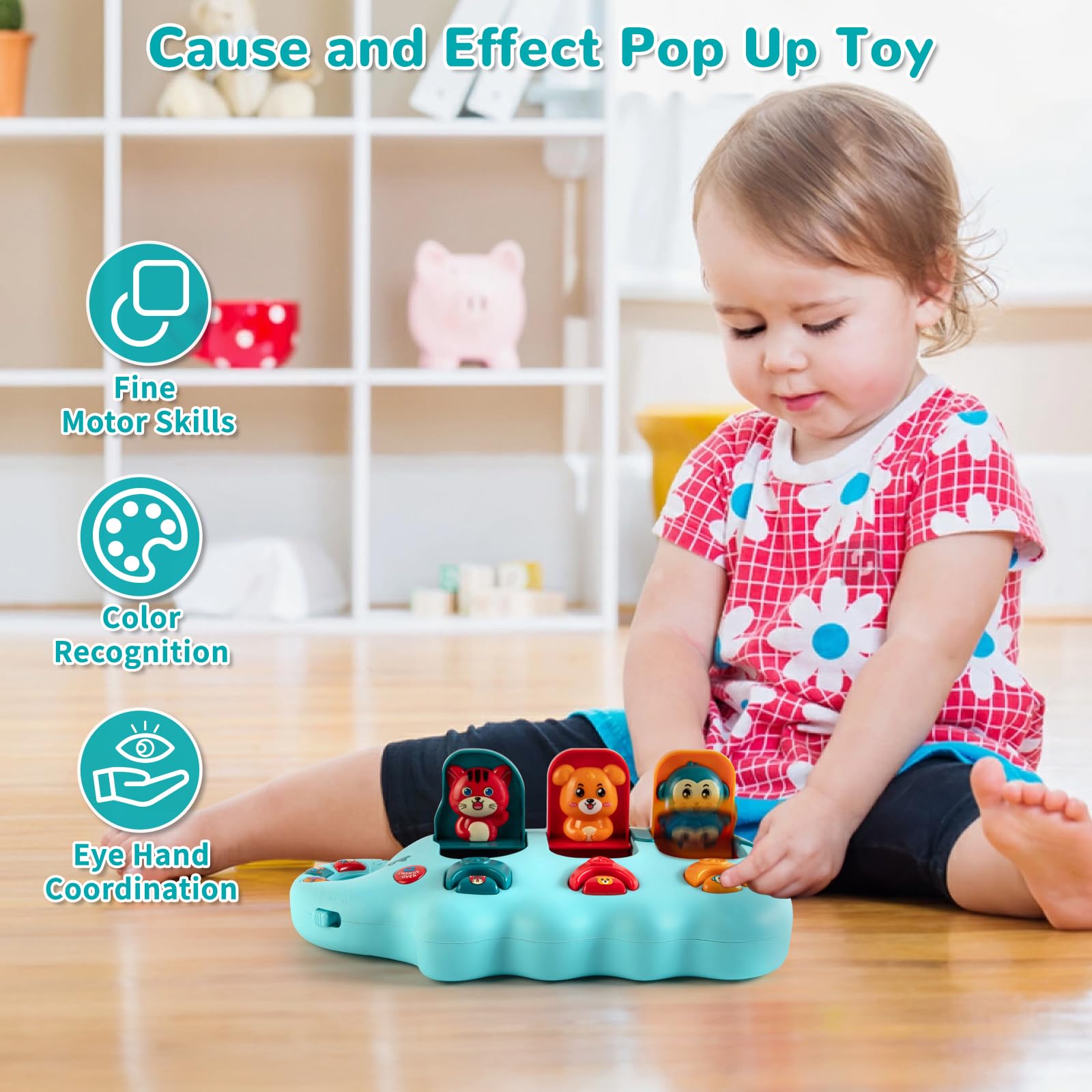 Musical Toy – Montessori Educational Gift for Toddlers 6-18 Months-Windsor Avenue Toys