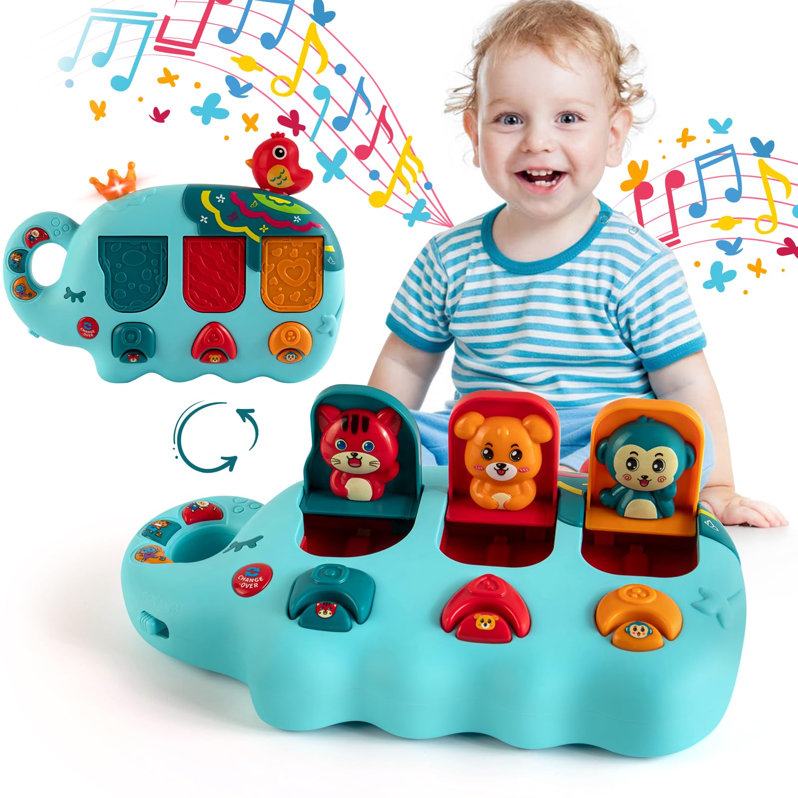 Musical Toy – Montessori Educational Gift for Toddlers 6-18 Months-Windsor Avenue Toys